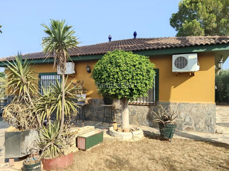 Foto ef3f7496-4e8d-4307-b75a-1950df3e22a5. Chalet dans urbanizacion san francisco de rasoespejo 16 dans Carmona