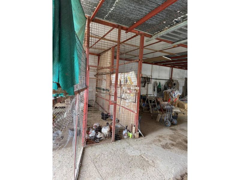 Foto bc75a7c2-bdd9-4f25-9645-acabcce852ab. Xalet a calle macarena 95 a Carmona