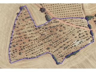 Finca rústica a Carretera CARRETERA CARMONA-TOCINA, LUGAR EL CARLERO, POLÍGO