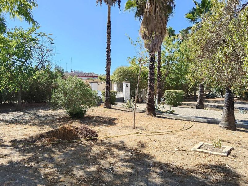 Foto 41134aa1-7dcb-41ff-b7f9-733d3936e95d. Chalet avec chauffage parking piscine dans Carmona