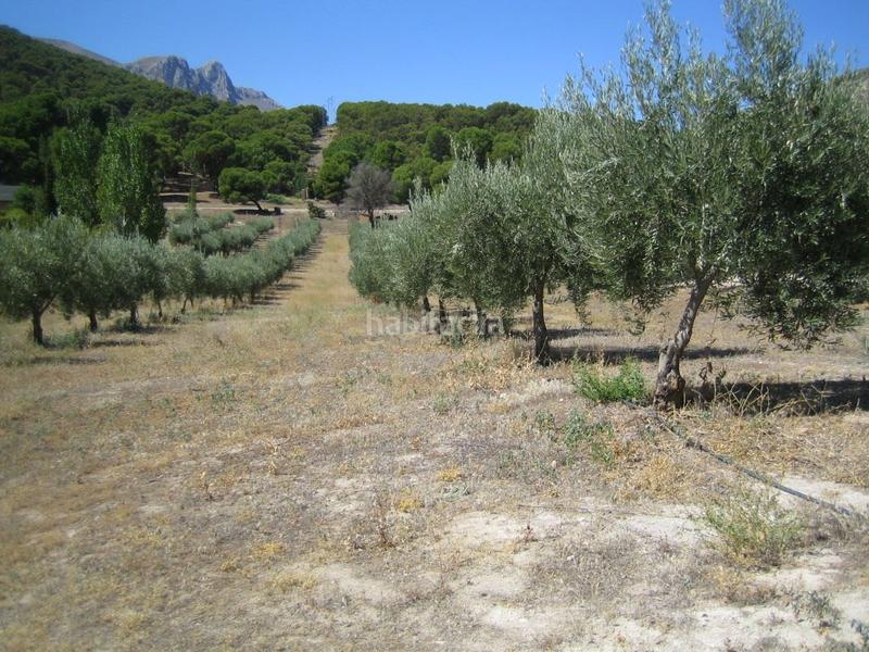 Foto 4c7ab4e5-611c-4700-87ab-e584027260f6. Fondo rustico in Iznalloz