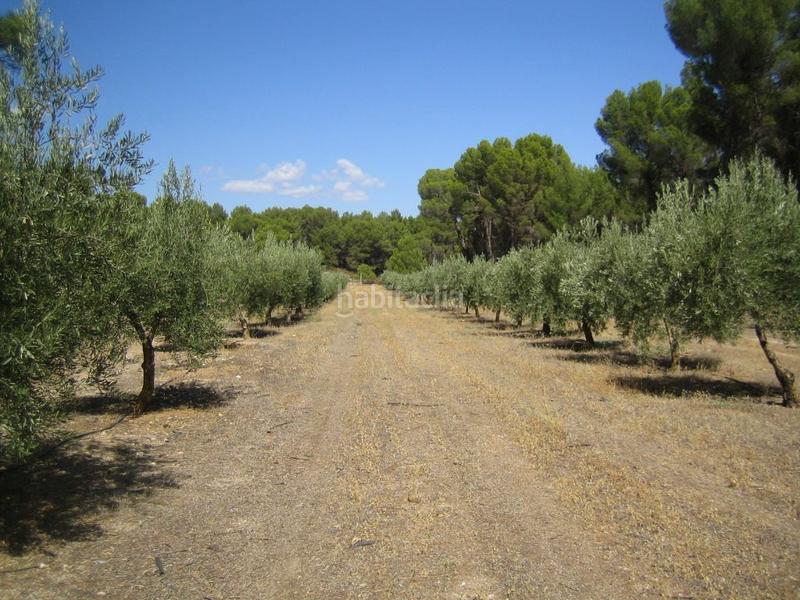 Foto 8c92e900-c251-4347-a311-26aa4ed2fd21. Fondo rustico in Iznalloz