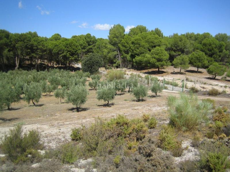 Foto 9946ee15-849e-496d-a637-78e95df44540. Fondo rustico in Iznalloz