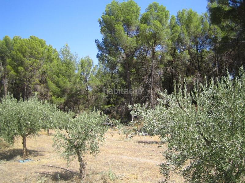 Foto e99bf9b3-5993-4614-9901-93ea4a273d7a. Fondo rustico in Iznalloz