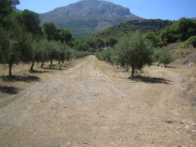 Foto efb87ade-1337-4e34-96b2-e8f66787ae08. Fondo rustico in Iznalloz