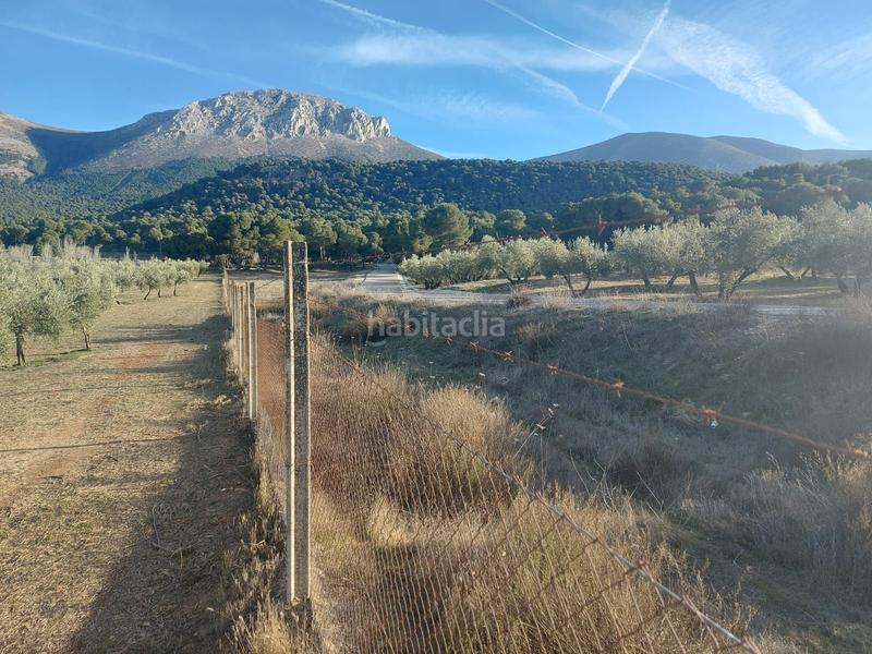 Foto febdde4f-8e56-4dcd-b0e1-ef45156f62e9. Fondo rustico in Iznalloz