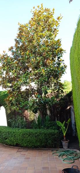 Foto d9068ff6-d71d-4c57-be97-2b295d71c897. Location appartement dans San Matías - Realejo Granada