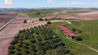 Masia en Zona de cadiz. Finca de 22 hectreas con proyecto aprobado para hacer casas gra