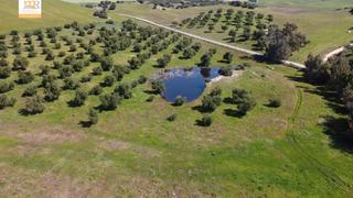 Mas à Zona de cadiz. Finca de 22 hectáreas con proyecto aprobado para hacer casas  gr