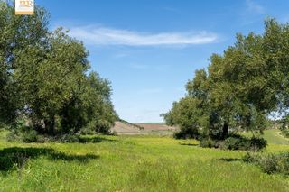 Masia a Calle calle prado del rey. Finca de 22 hectáreas con proyecto aprobado para hacer casas  gr