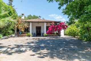 Masia  Lugar lugar arroyo judío. Se vende finca rústica en estepona  3.000 m2 de parcela