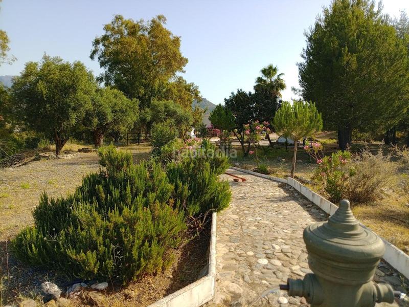 Foto 4e407a23-fb73-4b87-9d30-4640bbc233c6. Edifici a Guaro