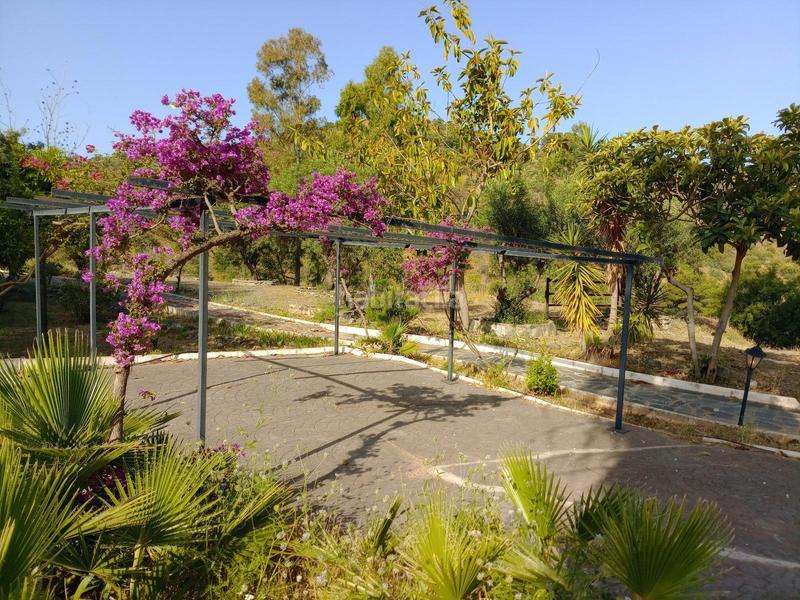 Foto 618bbaef-95ed-47a7-80d3-9f864e36cb5e. Edifici a Guaro