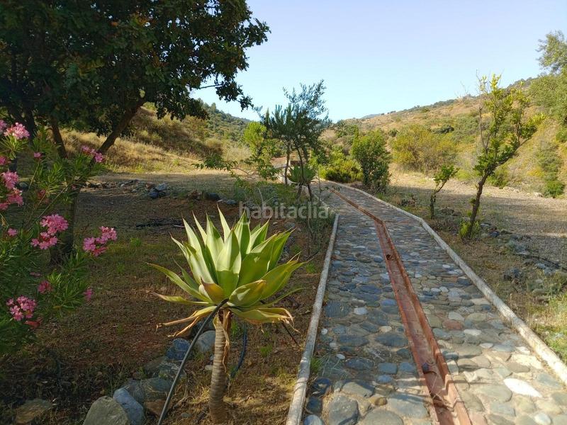 Foto 68884be7-9091-4148-99ab-e8f775aa9ad1. Edifici a Guaro