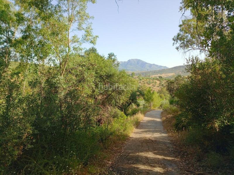 Foto babce22c-2dbd-46c1-8814-80b0432fb855. Edifici a Guaro