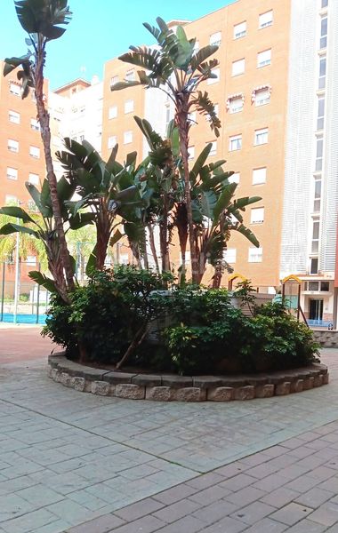 Foto 767c34ac-5f75-406b-ab79-e32dcaa22022. Pis amb calefacció aparcament piscina a Martín Carpena - Torre del Río Málaga