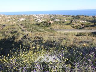 Terreny residencial a Benajarafe. Fantástica finca con olivos