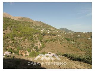 Masia a Cómpeta. Una finca grande con cortijo