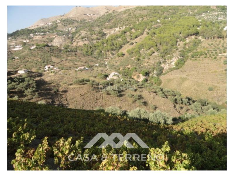 Foto 5887da9e-7d93-480b-bc2b-14bd5bcf8e33. Masía una finca grande con cortijo en Cómpeta