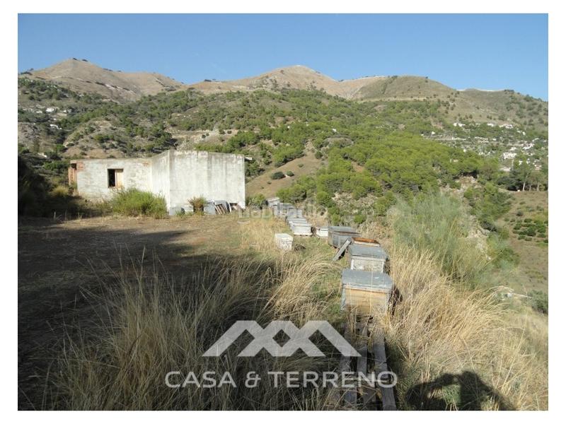 Foto c7295b5d-4219-4083-868a-1dcd9979ee7f. Masía una finca grande con cortijo en Cómpeta