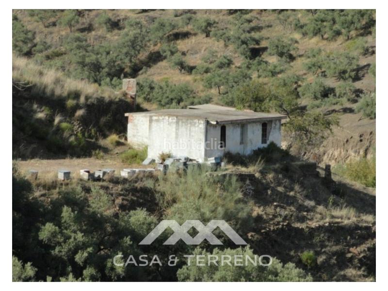 Foto e42edc0d-4be8-4020-9ebb-cef400aa4f9c. Masía una finca grande con cortijo en Cómpeta