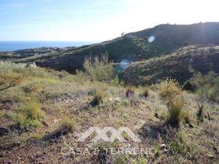 Terreny residencial a Benajarafe. En venta en benajarafe,estupenda finca de regadio