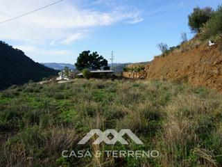 Terreny residencial a Canillas de Aceituno. Venta, parcelas, canillas de aceituno, málaga, andalucía
