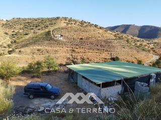 Masia a Canillas de Aceituno. Venta, finca, canillas de aceituno, málaga, andalucía