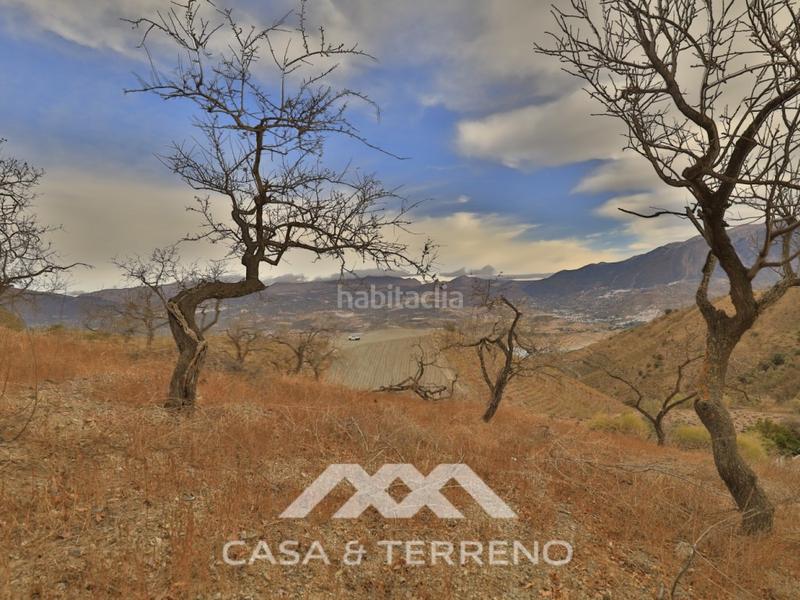 Foto a1af37b6-da45-421f-9521-1bac0ee3753b. Residential plot in Viñuela