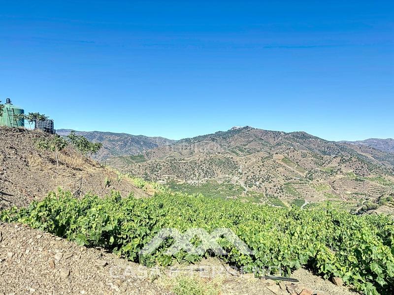 Foto 04993a5a-b294-41a9-8942-533c477cf537. Casa se vende finca, , málaga, andalucía en Benamargosa