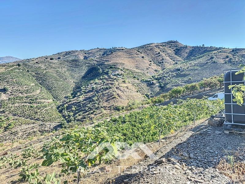 Foto 1183aaf1-685c-42dd-bb15-037f979e9df0. Casa se vende finca, , málaga, andalucía en Benamargosa