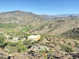 House  Polígono 2 parcela. Se vende finca, benamargosa, málaga, andalucía