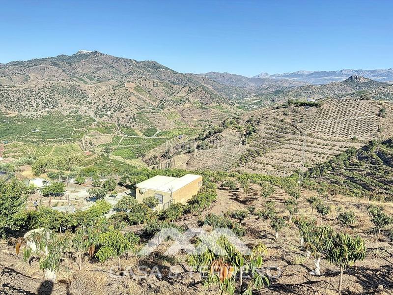 Foto 2a1a24b7-f173-4334-8d69-8987544b30a9. Casa se vende finca, , málaga, andalucía en Benamargosa