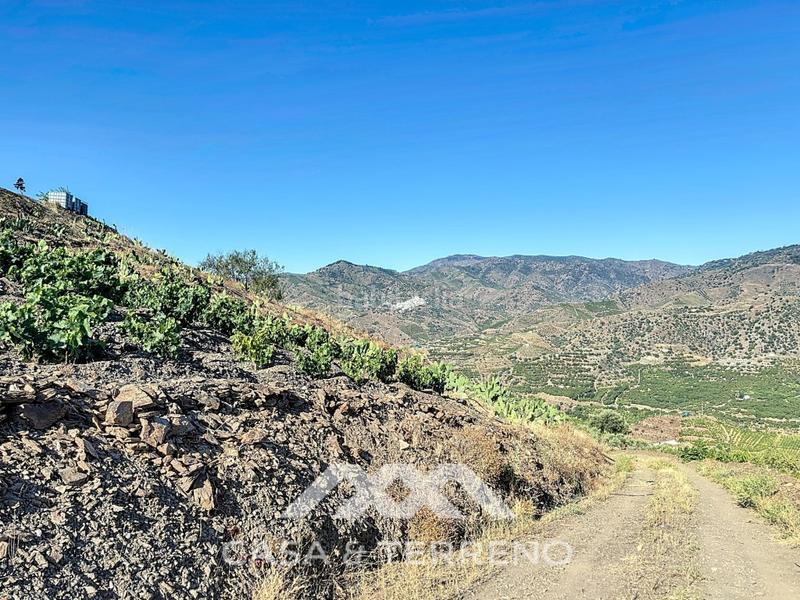 Foto 3b0e9ea5-c486-4f38-82cb-1fa078271380. Casa se vende finca, , málaga, andalucía en Benamargosa