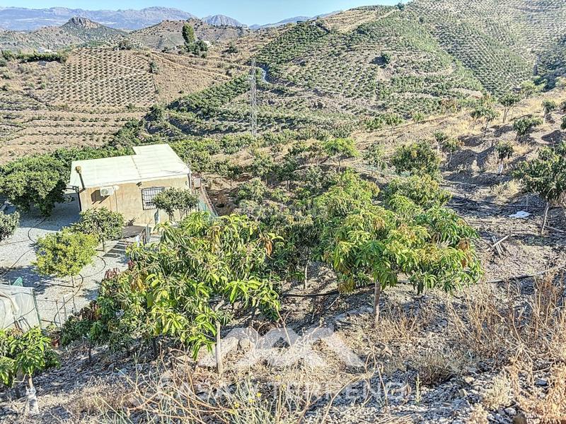 Foto 3d0e1dc4-203e-4d78-8b5a-b3c2046abfdd. Casa se vende finca, , málaga, andalucía en Benamargosa