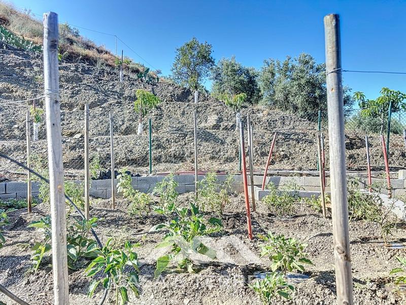 Foto 4e9e9653-cbfd-4c89-b49a-326522dc6bc8. Casa se vende finca, , málaga, andalucía en Benamargosa