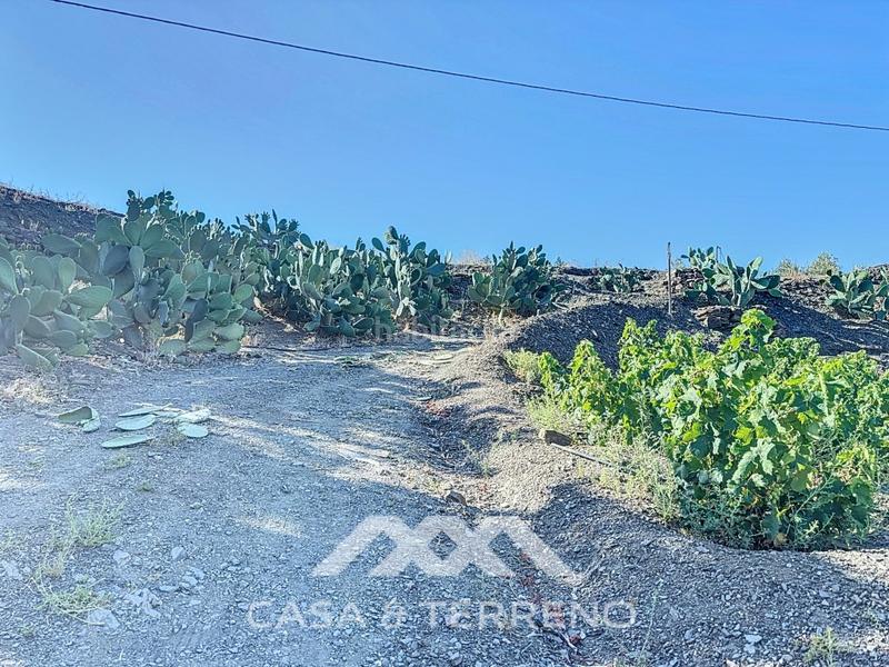 Foto 643fedb1-2484-4a3e-9d3b-a7f72da1bb59. Casa se vende finca, , málaga, andalucía en Benamargosa