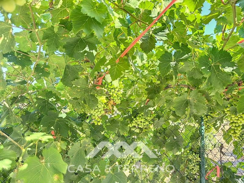 Foto 6f6dd8c4-149a-47c2-8c82-c27b395fca66. Casa se vende finca, , málaga, andalucía en Benamargosa