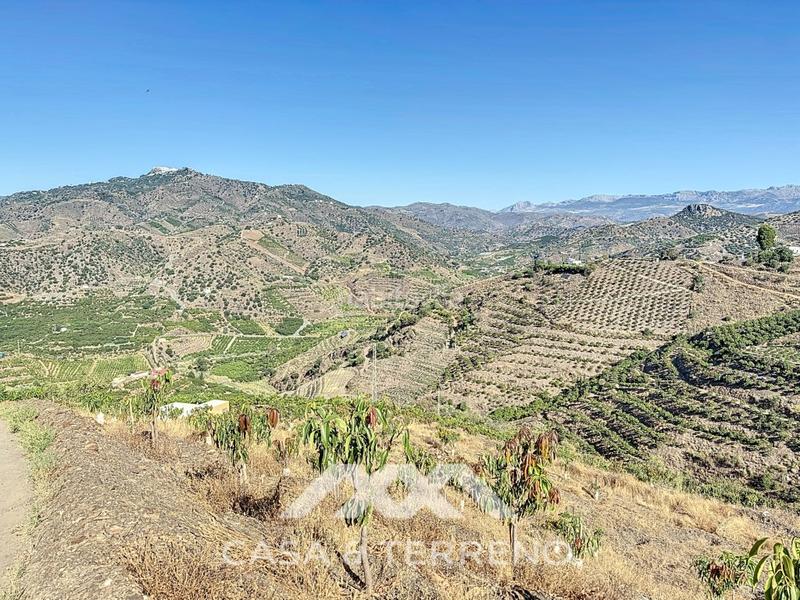 Foto 7b3621e0-5388-428c-92ed-b83da59a4573. Casa se vende finca, , málaga, andalucía en Benamargosa