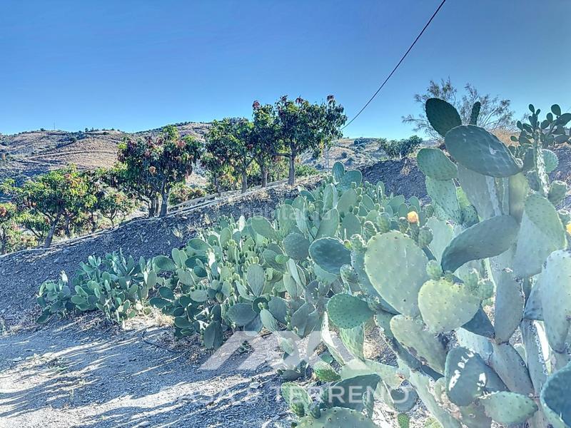 Foto 8c3d815b-bbd2-4a93-a282-45fc0f32ca96. Casa se vende finca, , málaga, andalucía en Benamargosa