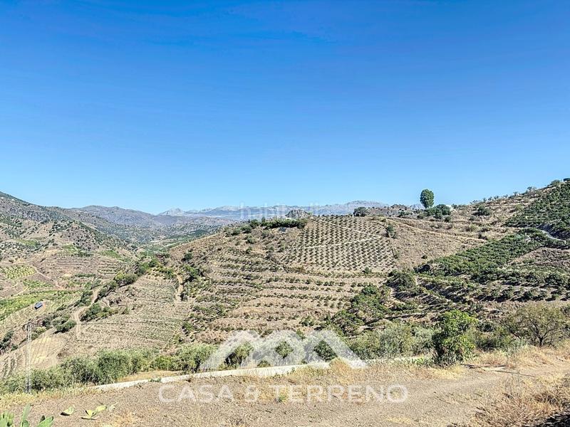 Foto 94b61938-f679-4faa-b06a-c9e6072220dc. Casa se vende finca, , málaga, andalucía en Benamargosa