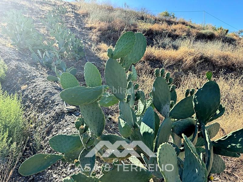 Foto a5b826ea-d4f9-4e50-86a9-1ad9cc51e38f. Casa se vende finca, , málaga, andalucía en Benamargosa