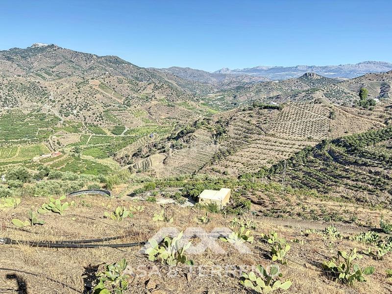 Foto aaf706e8-c1c0-4a53-a1a5-0d26428ada73. Casa se vende finca, , málaga, andalucía en Benamargosa