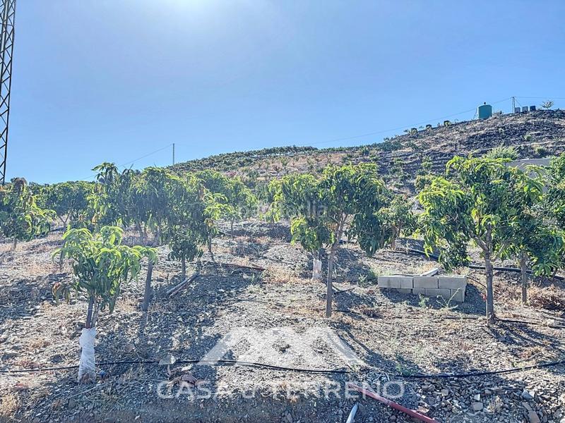 Foto bda90c04-ea97-4534-a381-e8e2e66683a4. Casa se vende finca, , málaga, andalucía en Benamargosa