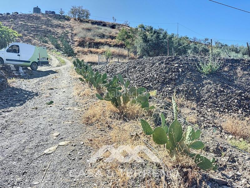 Foto c72cf90a-19c1-4573-98b3-da5dae4c03c3. Casa se vende finca, , málaga, andalucía en Benamargosa