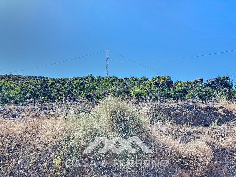 Foto c7e9e91c-8fa2-4d1f-9c42-4ab1013c430e. Casa se vende finca, , málaga, andalucía en Benamargosa