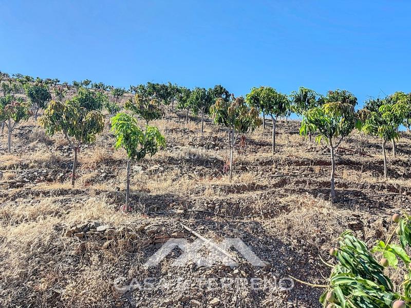 Foto d1ab2a37-f906-47f8-8aa7-7345deabe788. Casa se vende finca, , málaga, andalucía en Benamargosa