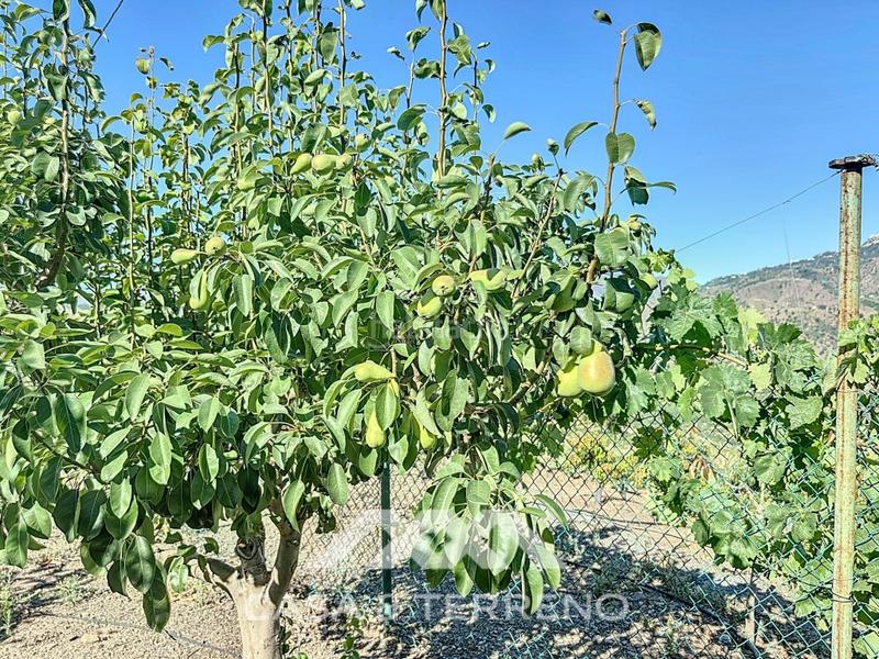 Foto d2528b58-c2b7-491c-85ed-e4aea1eca257. Casa se vende finca, , málaga, andalucía en Benamargosa