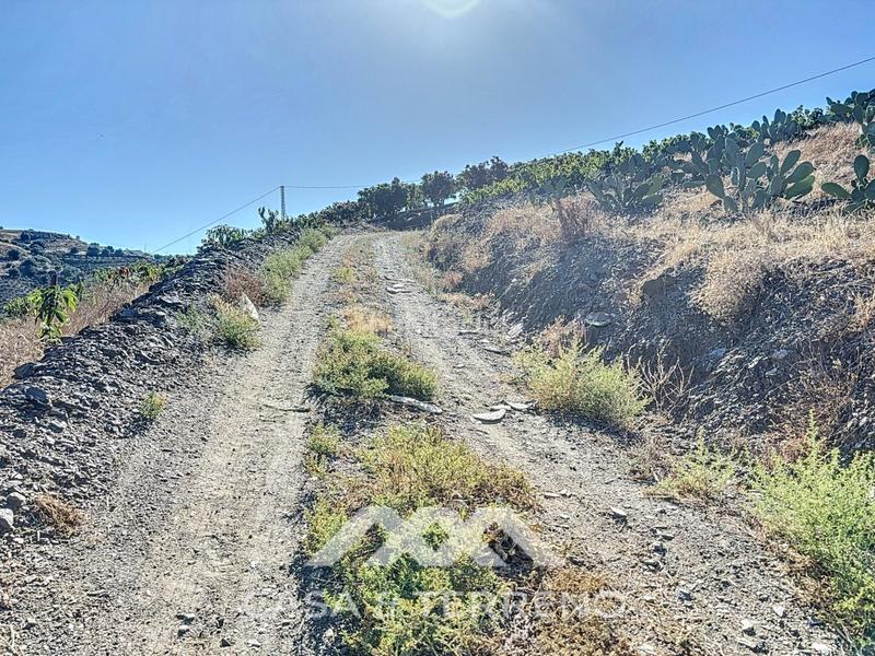 Foto e314c362-bea1-49c0-8403-c37fcedd93fc. Casa se vende finca, , málaga, andalucía en Benamargosa