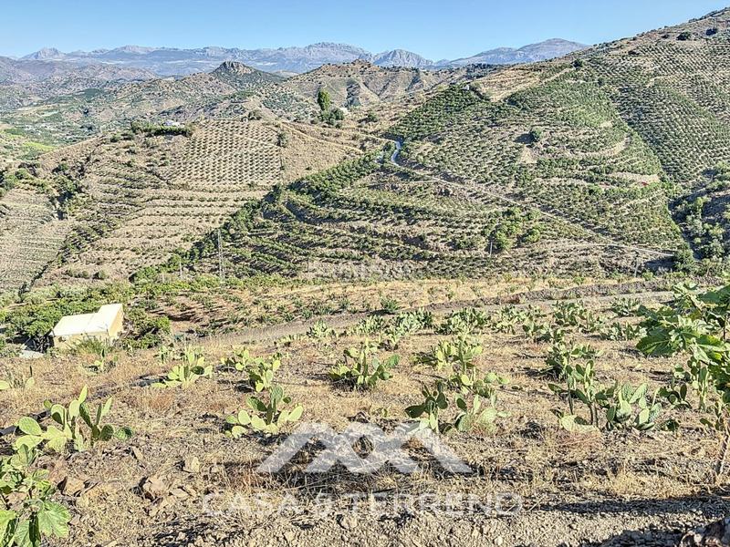 Foto f58fb1e9-7a55-442d-99c1-e15cc69ddf69. Casa se vende finca, , málaga, andalucía en Benamargosa